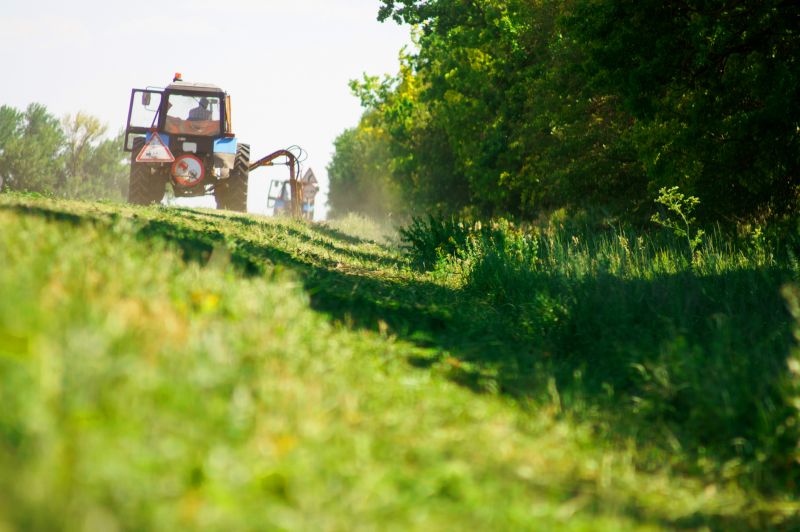 Clearing and Grading Service