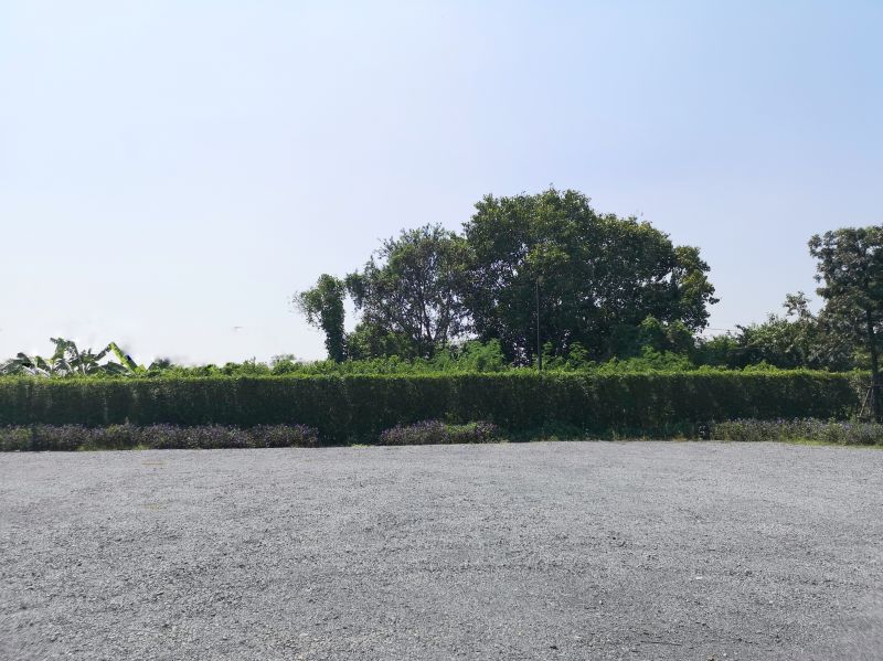 Clearing and Grading Service
