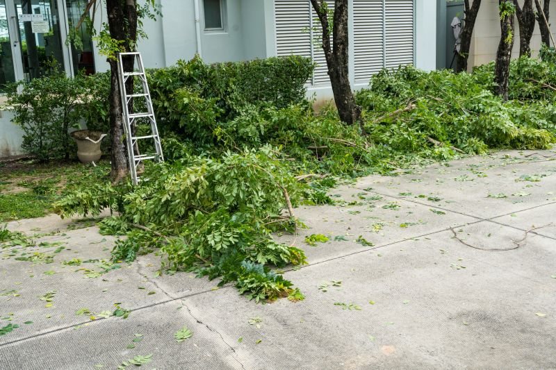 Apple Tree Removal in Doylestown, PA