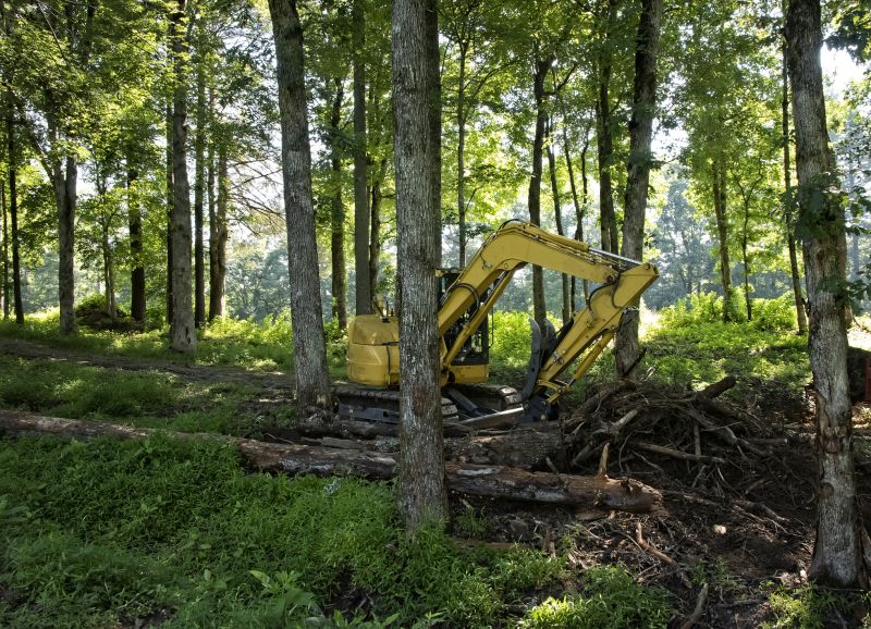 Brush Clearing Service in Salt Lake City, UT