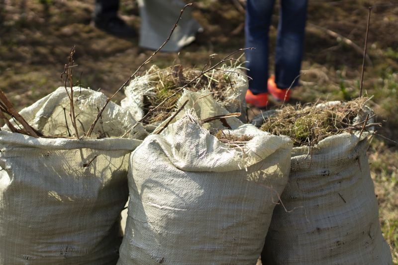 Clearing And Grading Service