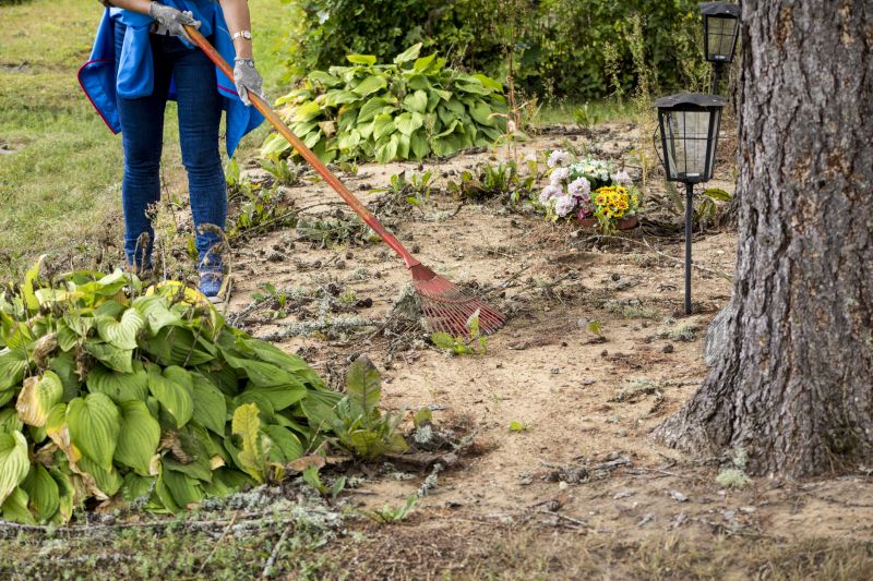 Clearing And Grading Service