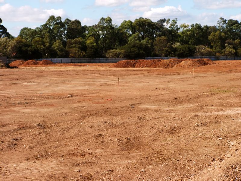 Project Scope and Detail