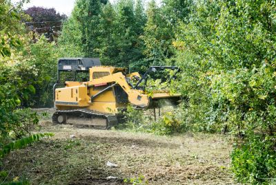 Forestry Clearing in Gwinnett County, GA