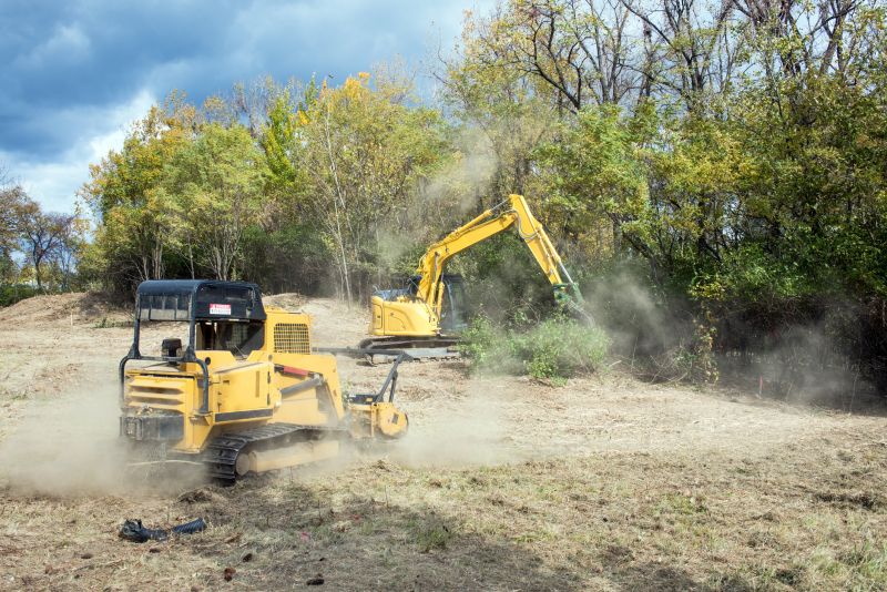 Land Clearing Experts at Work